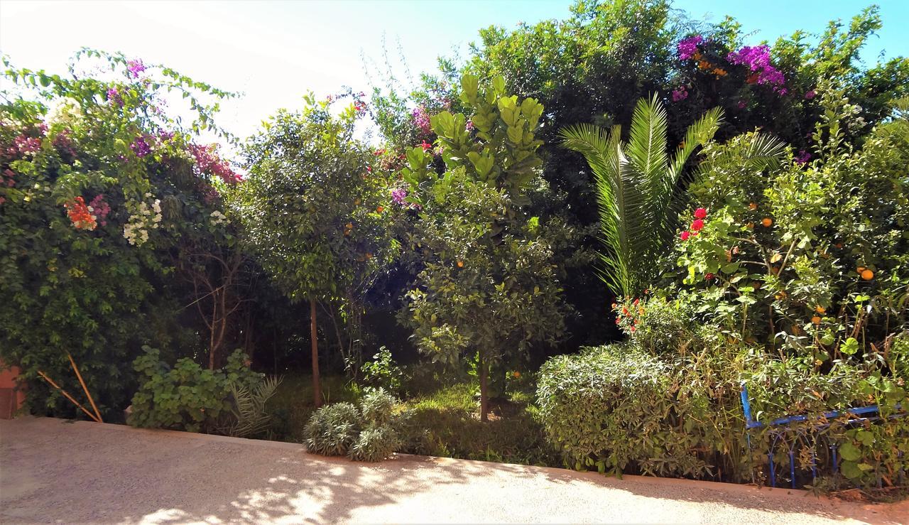 Auberge de jeunesse Surf & Yoga Paradise Morocco à Tamraght Ou Fella Extérieur photo