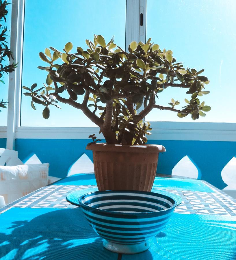 Auberge de jeunesse Surf & Yoga Paradise Morocco à Tamraght Ou Fella Extérieur photo