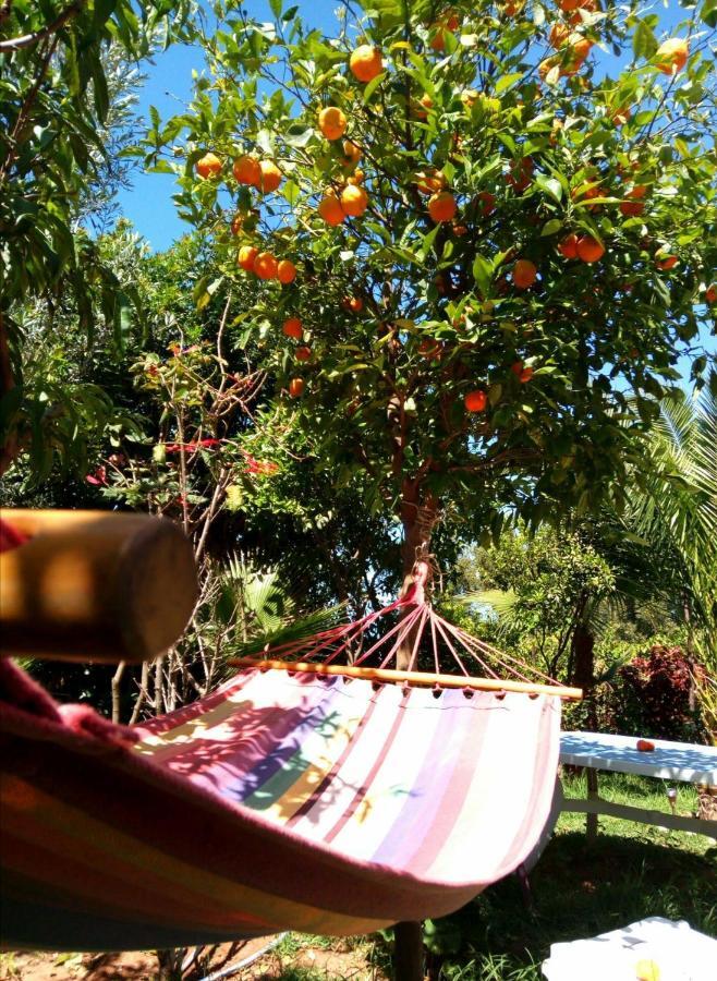 Auberge de jeunesse Surf & Yoga Paradise Morocco à Tamraght Ou Fella Extérieur photo
